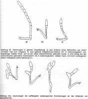 Bild-5-S28,29b-1.jpg (237.8 KiB) 103969-mal betrachtet Bild-5-S28,29b-1.jpg