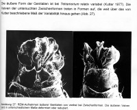 Bild-6-Gen.S.-33-210.jpg (675.27 KiB) 104099-mal betrachtet Bild-6-Gen.S.-33-210.jpg