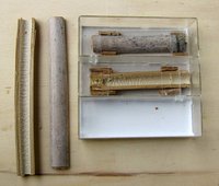 5-Bambusnester_4258.jpg (102.09 KiB) 99498-mal betrachtet 5-Bambusnester_4258.jpg