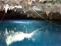 5-314 Cenote KlFlederm 10-43.JPG