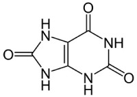 1280px-Harnsäure_Ketoform.svg Kopie.jpg