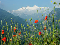 1-Aostatal.jpg