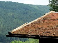 4-Dach-4447.jpg (136.25 KiB) 448584-mal betrachtet 4-Dach-4447.jpg