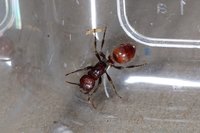 DSC00208.JPG (415.8 KiB) 79490-mal betrachtet DSC00208.JPG