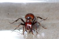 DSC00210.JPG (548.69 KiB) 79490-mal betrachtet DSC00210.JPG