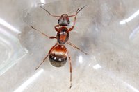 DSC00191.JPG (341.55 KiB) 79490-mal betrachtet DSC00191.JPG