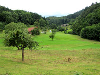 1-Odenwald-Natur_6633.jpg