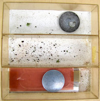 2-Formikar-784.jpg (375.47 KiB) 93817-mal betrachtet 2-Formikar-784.jpg