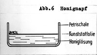 7-L.n. Honigtränke-930.jpg