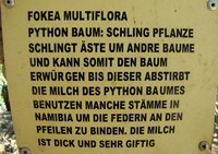 6-Python-Milch-966.jpg