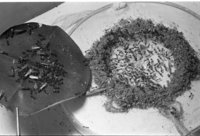 2-img391.jpg (609.98 KiB) 77510-mal betrachtet 2-img391.jpg