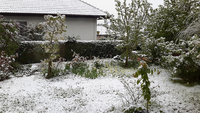 Schnee-18.4.web.jpg