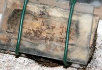 IMG_4963.jpg (580.4 KiB) 193205-mal betrachtet IMG_4963.jpg