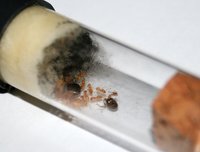 IMG_4964.jpg (309.69 KiB) 193205-mal betrachtet IMG_4964.jpg