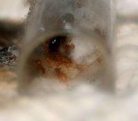 IMG_4965.jpg (201.7 KiB) 193205-mal betrachtet IMG_4965.jpg