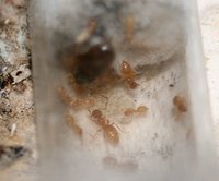 IMG_4966.jpg (158.67 KiB) 193205-mal betrachtet IMG_4966.jpg