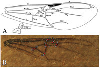 fig-1-2x.jpg