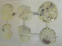 Odontomachus haematodus Nestkammern.JPG (696.96 KiB) 105251-mal betrachtet Odontomachus haematodus Nestkammern.JPG